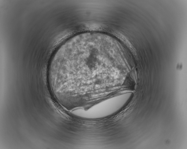 X0000096440442200802211214