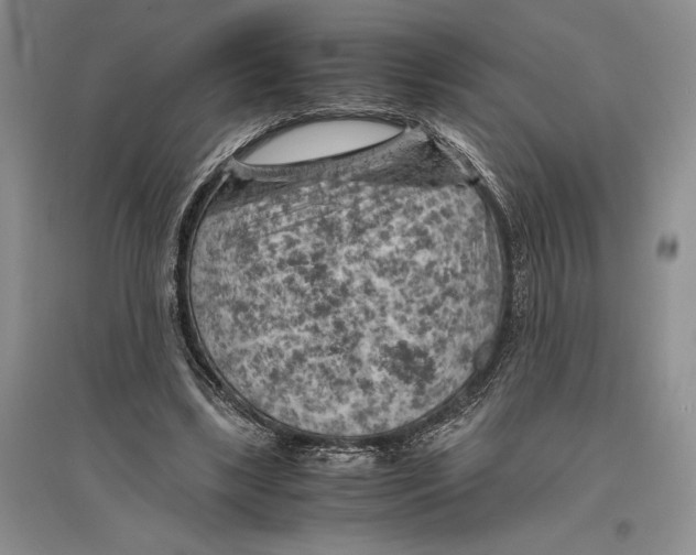 X0000096440443200802211214