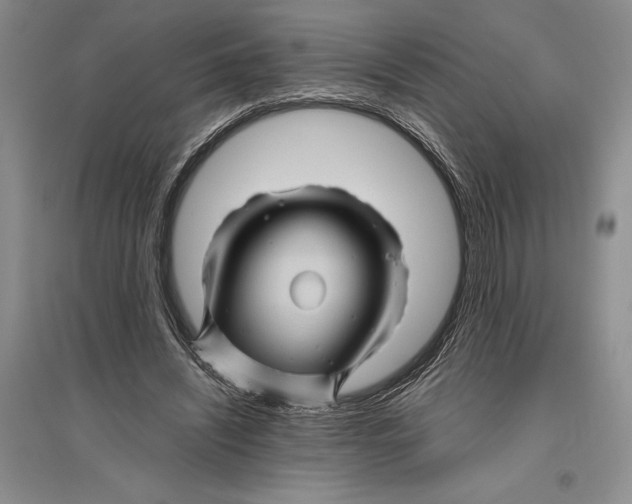 X0000096440444200802211214