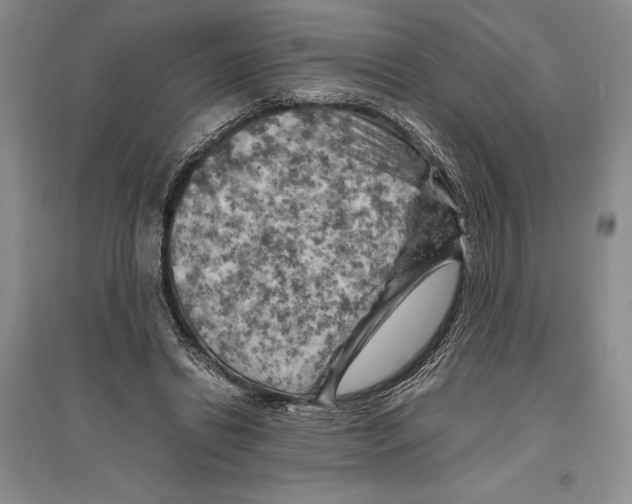 X0000096440446200802211214