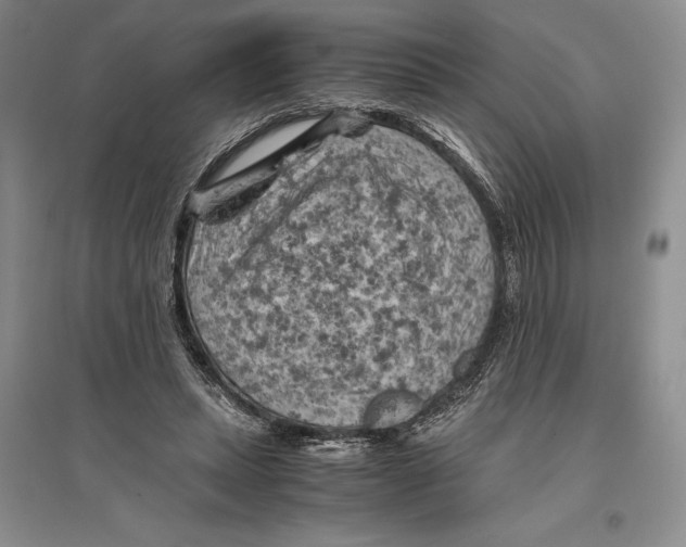 X0000096440447200802211214