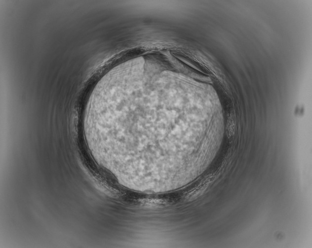 X0000096440448200802211214