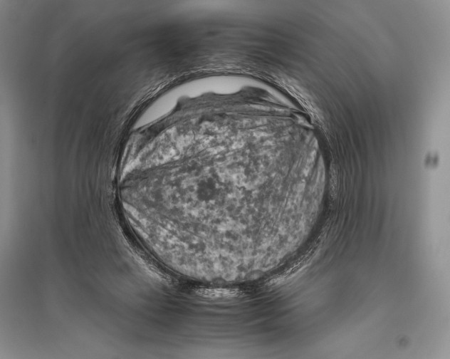 X0000096440449200802211214