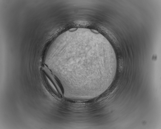 X0000096440451200802211214