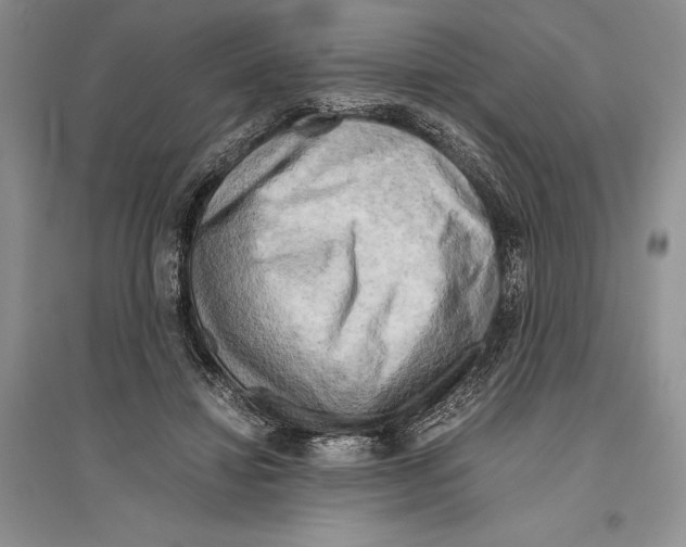 X0000096440452200802211214