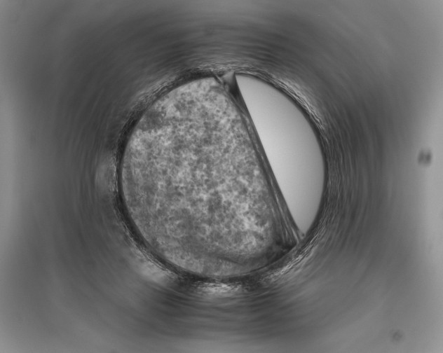 X0000096440453200802211215