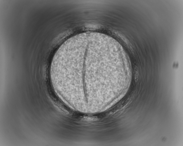 X0000096440455200802211215