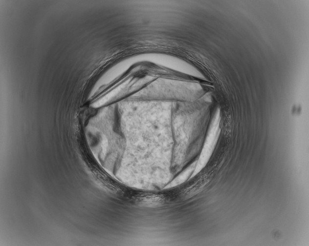 X0000096440456200802211215