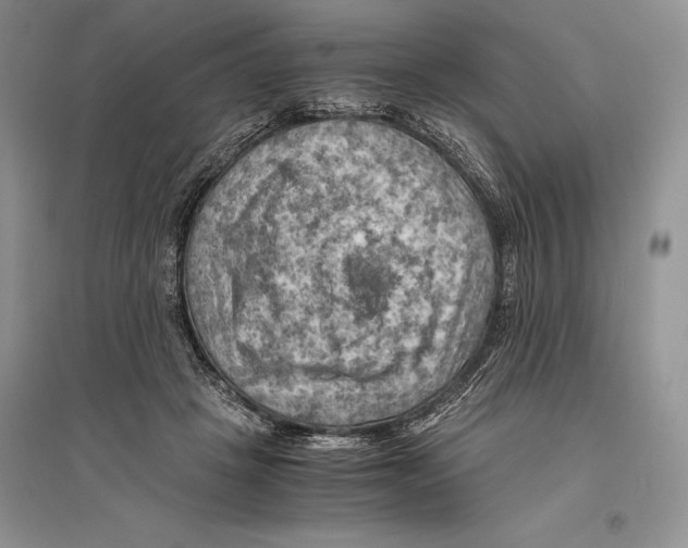 X0000096440457200802211215