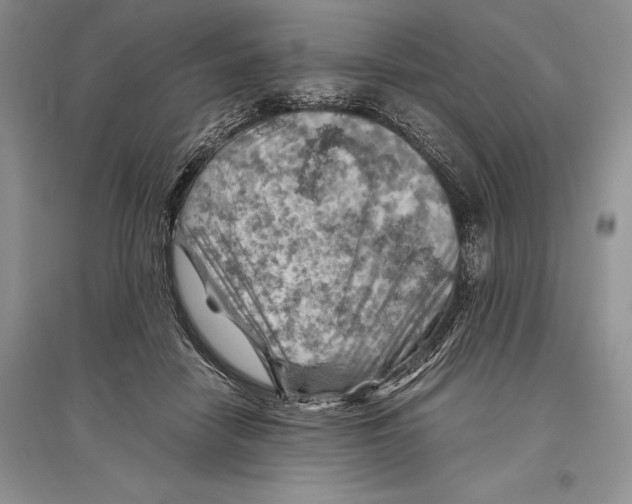 X0000096440458200802211215