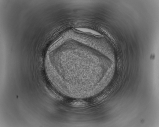 X0000096440459200802211215