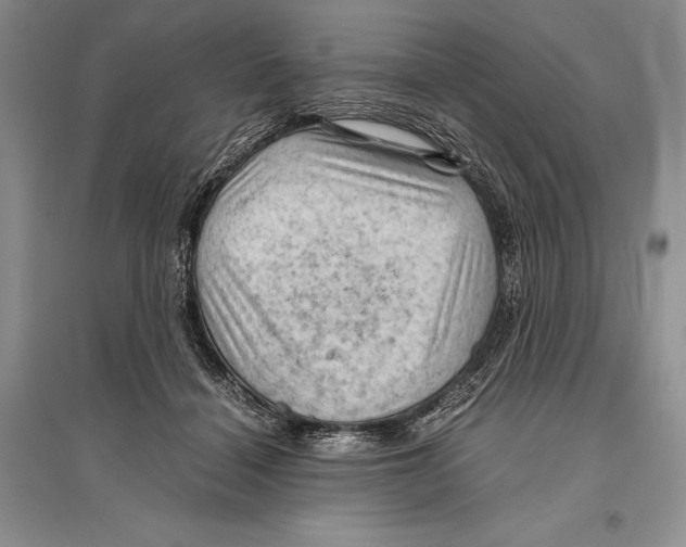 X0000096440460200802211215