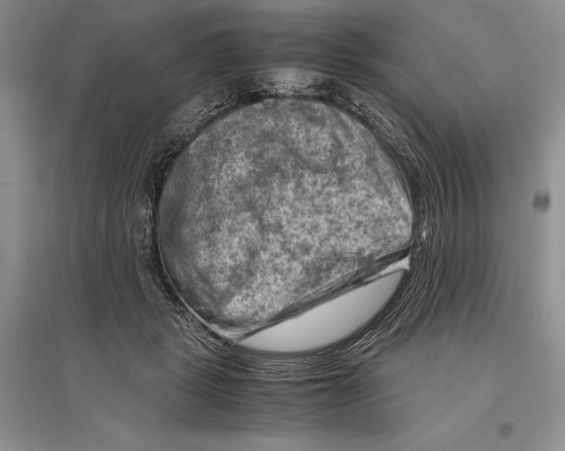 X0000096440461200802211215