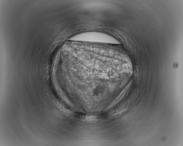 X0000096440462200802211215