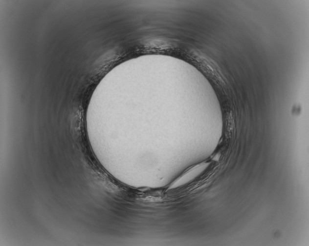 X0000096440463200802211215