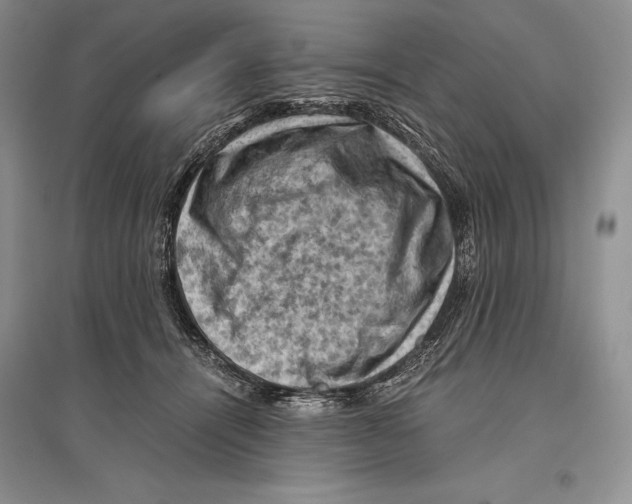 X0000096440464200802211215