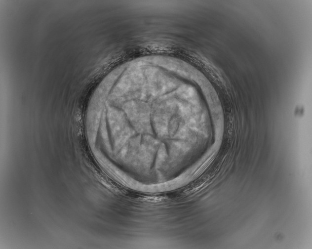 X0000096440465200802211215