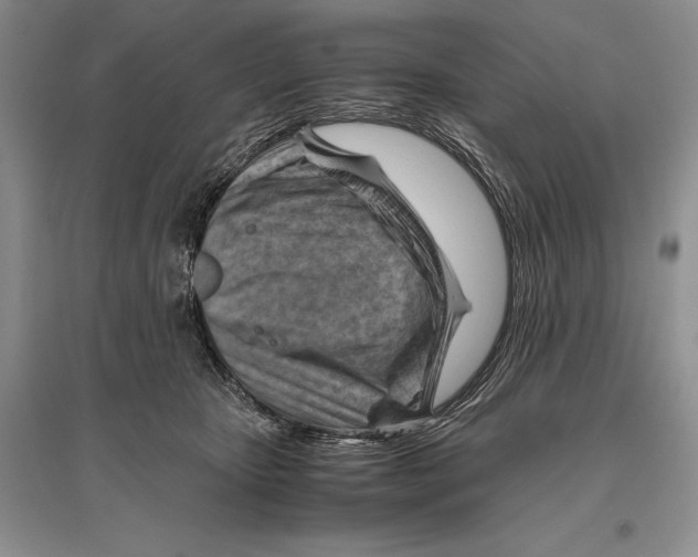 X0000096440467200802211215