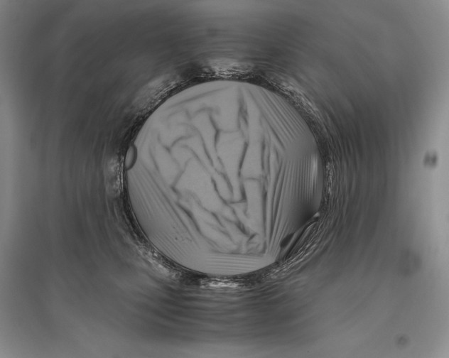 X0000096440471200802211215