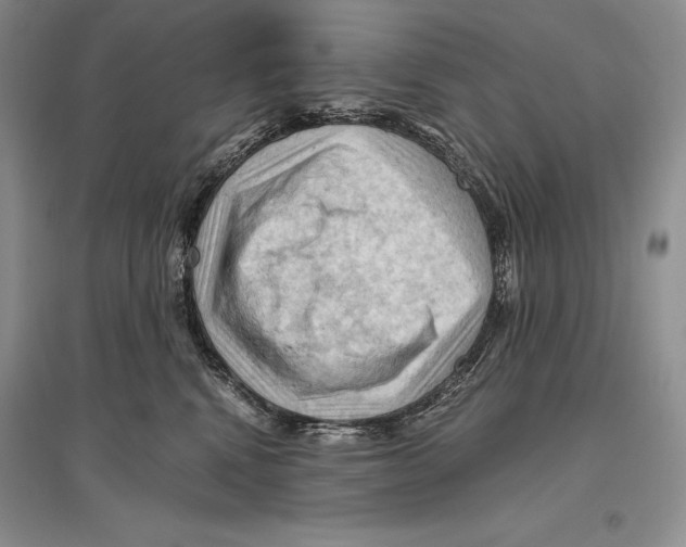 X0000096440472200802211215