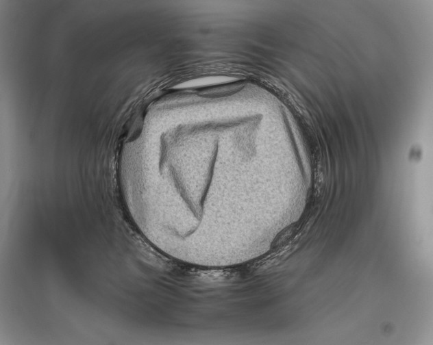 X0000096440473200802211215