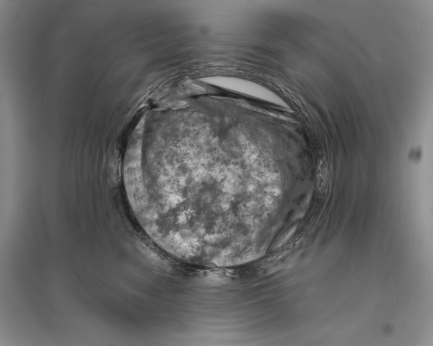 X0000096440474200802211215