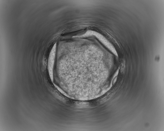 X0000096440476200802211215