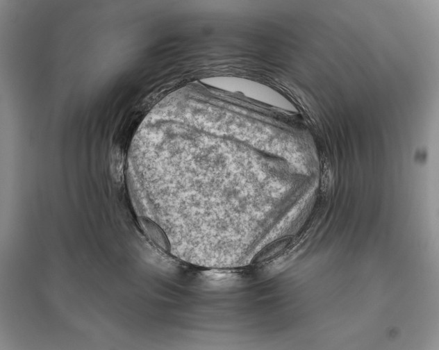 X0000096440477200802211215