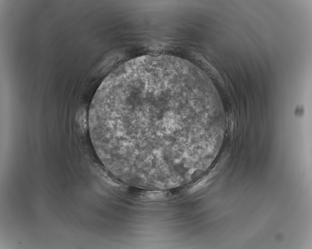 X0000096440479200802211215