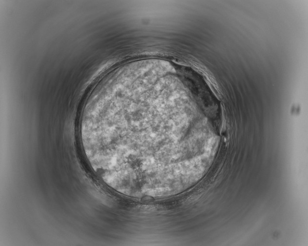 X0000096440482200802211214