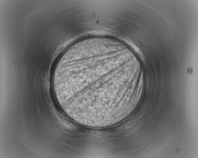 X0000096440486200802211214