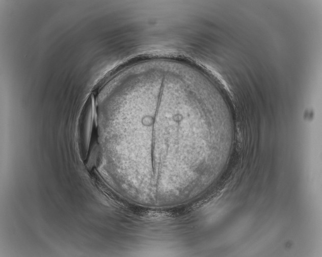 X0000096440487200802211214