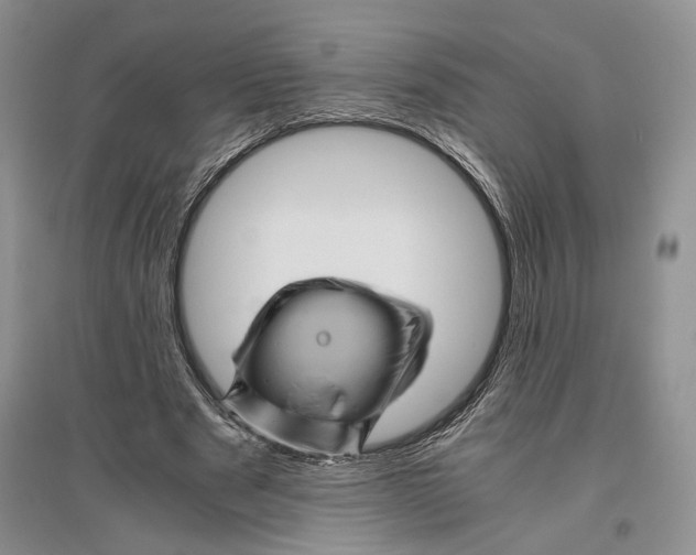 X0000096440489200802211214