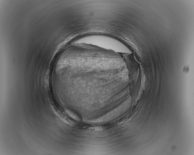 X0000096440492200802211214