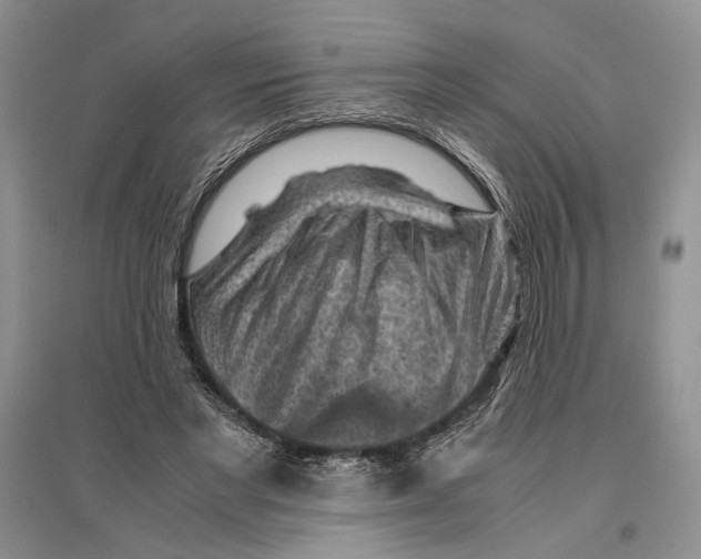 X0000096440493200802211214