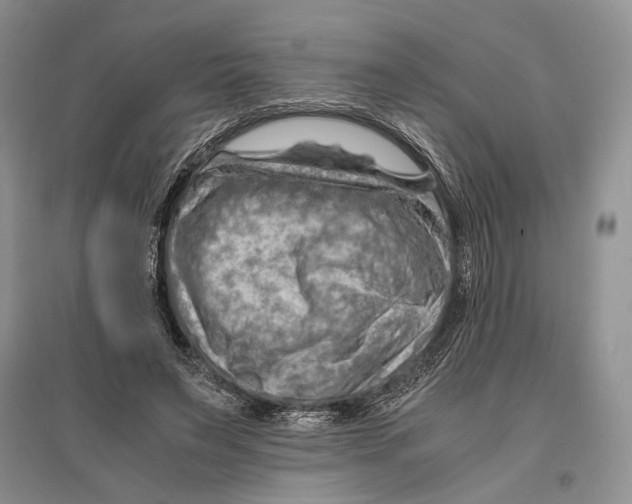 X0000096440495200802211214