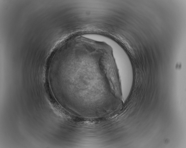 X0000096440496200802211214