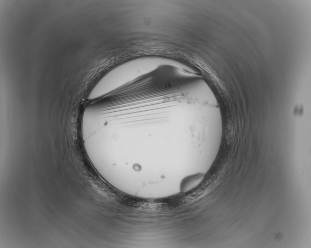 X0000096440497200802211214