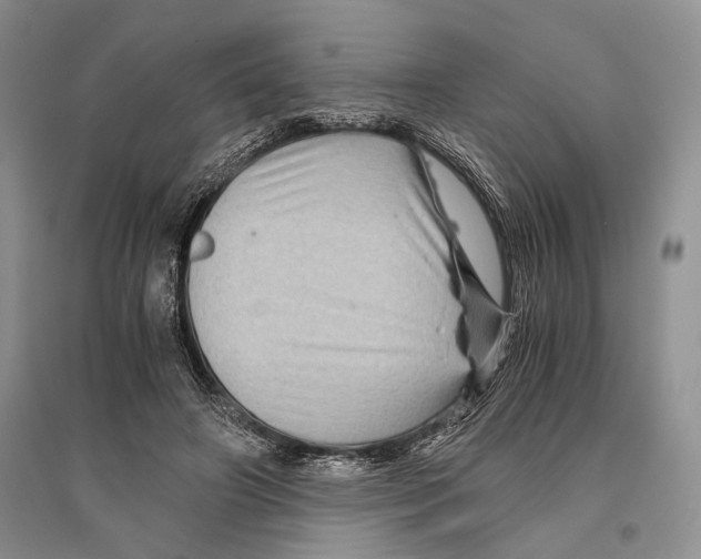 X0000096440498200802211214