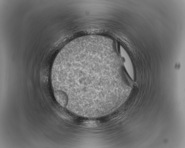 X0000096440499200802211214