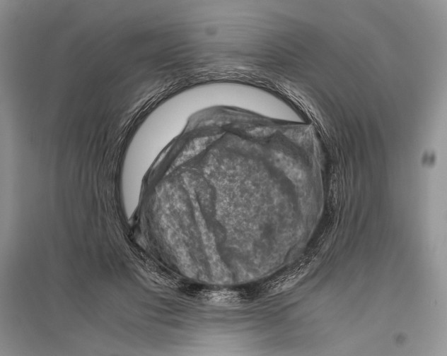 X0000096440501200802211214