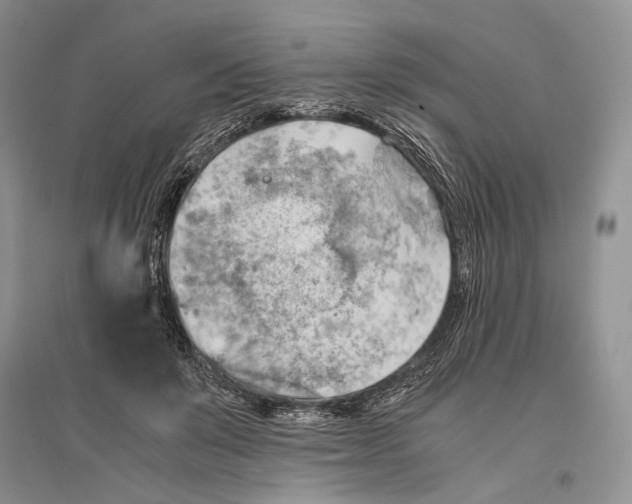 X0000096440503200802211214