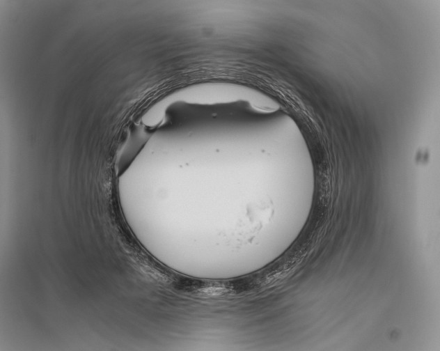 X0000096440505200802211214