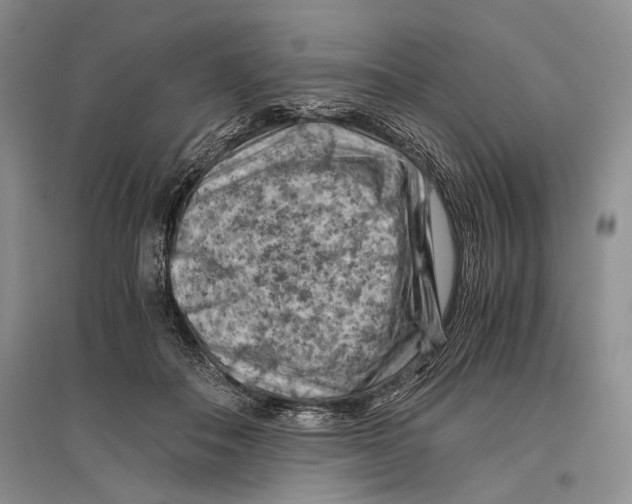 X0000096440506200802211214