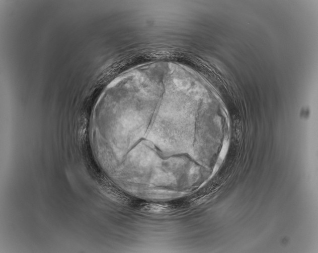 X0000096440507200802211214