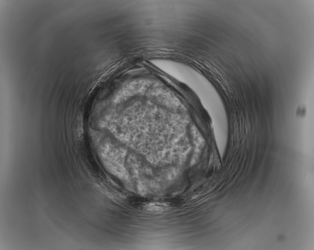 X0000096440508200802211214