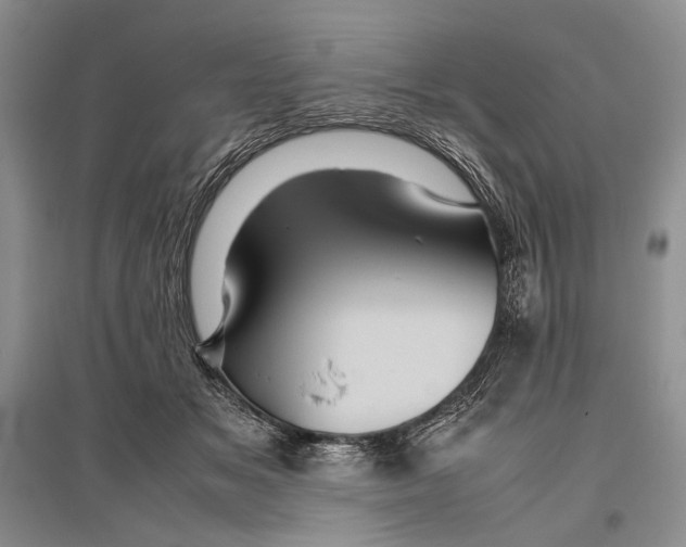 X0000096440509200802211214