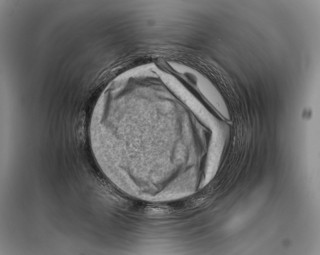 X0000096440510200802211214