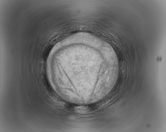 X0000096440511200802211214