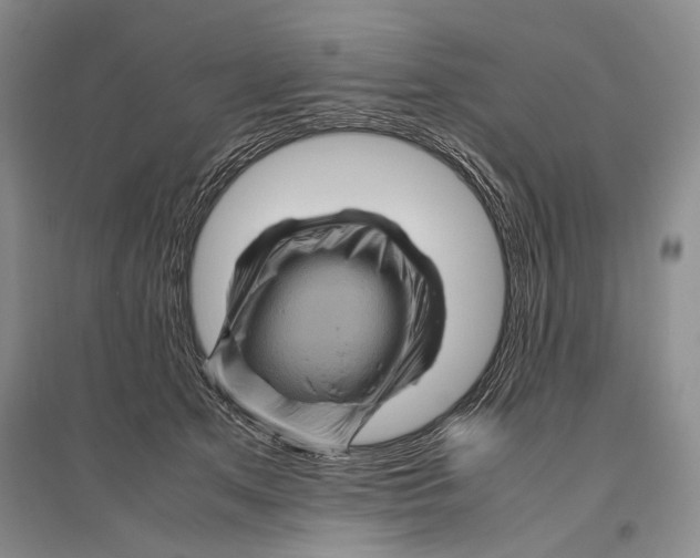 X0000096440513200802211214